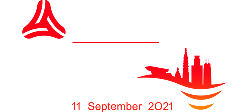 Antwerp Night Marathon Logo